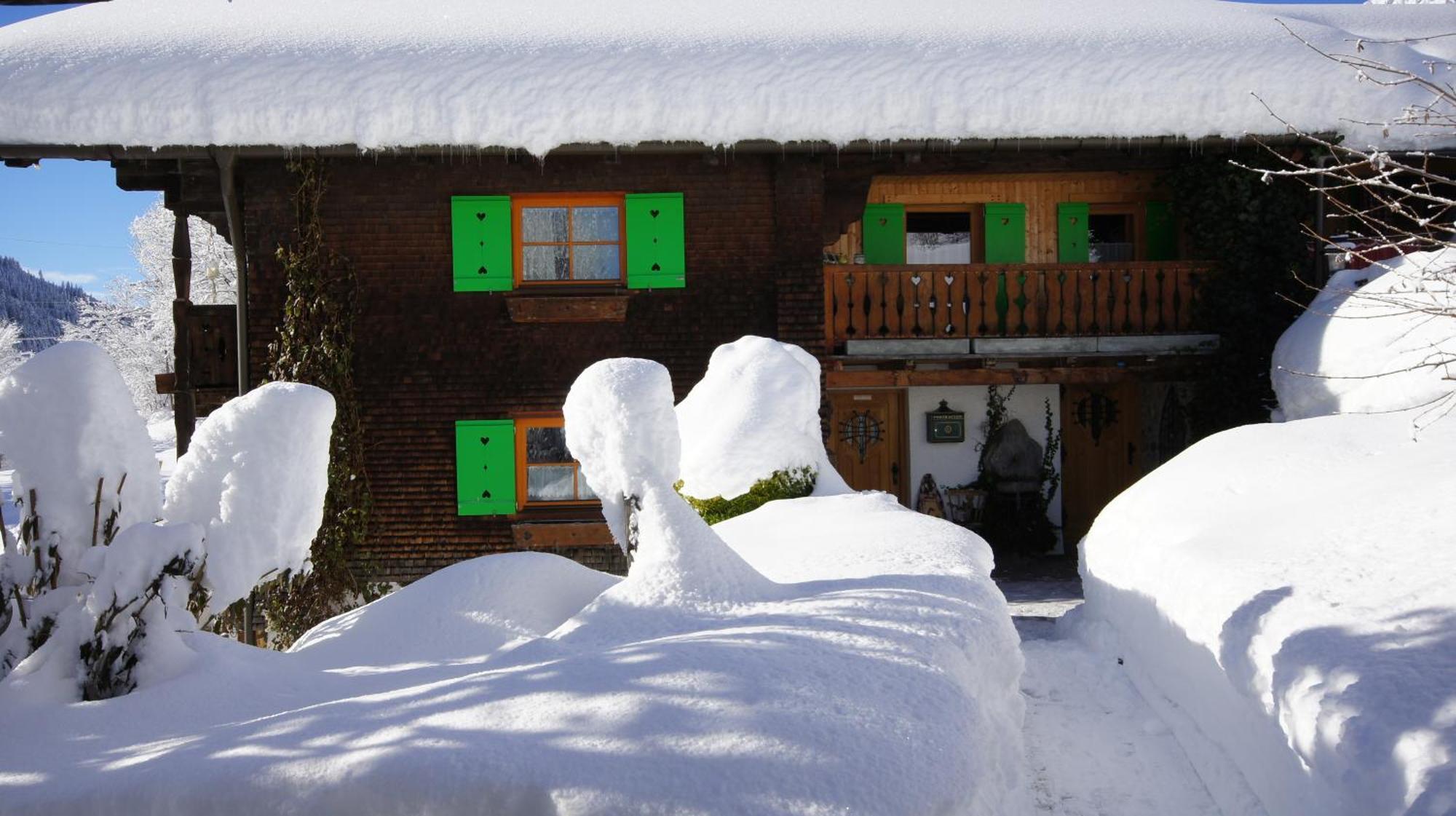 Haus Aelpele Apartment Klosterle am Arlberg Ngoại thất bức ảnh